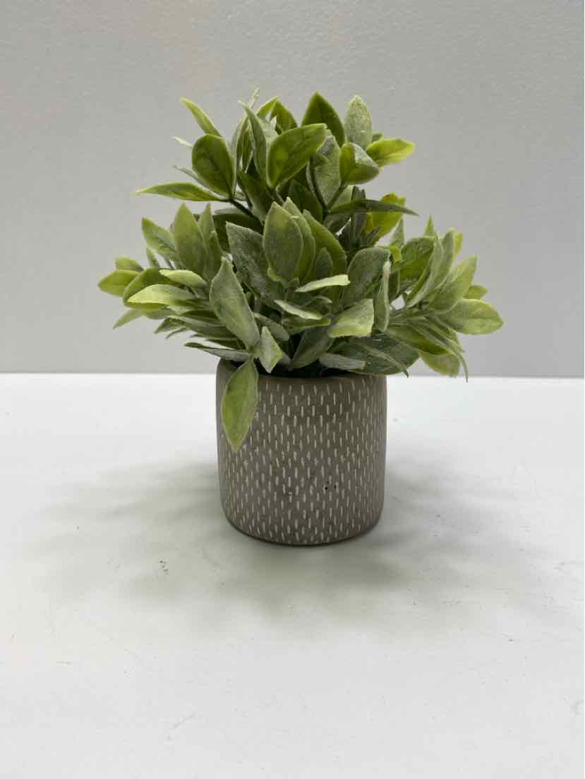 Garland/Greenery