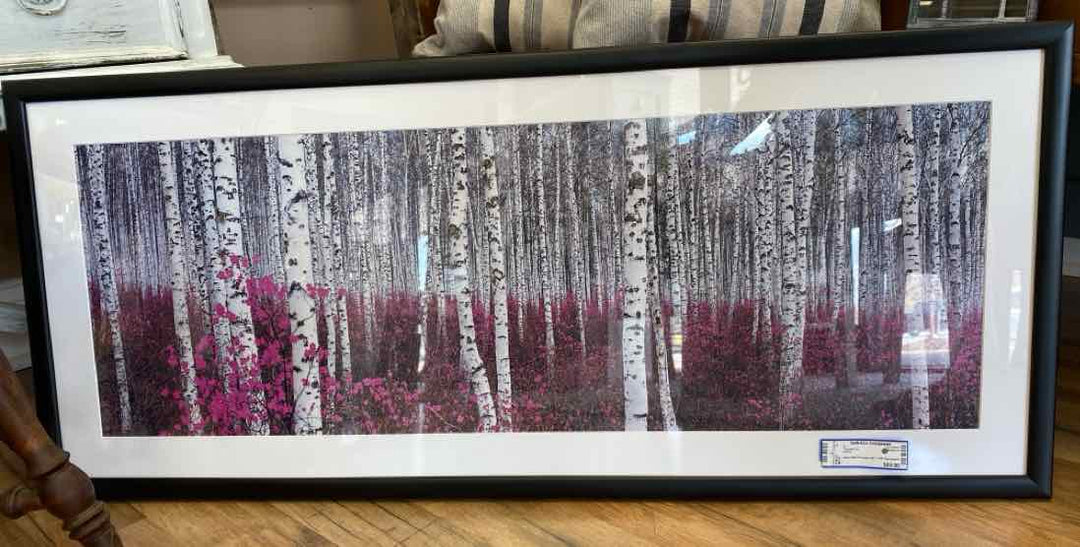 Framed Art