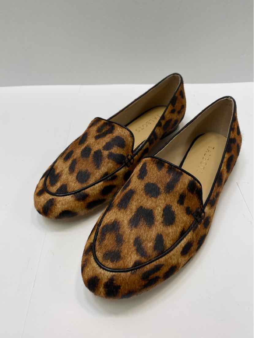 talbots 8 Flats
