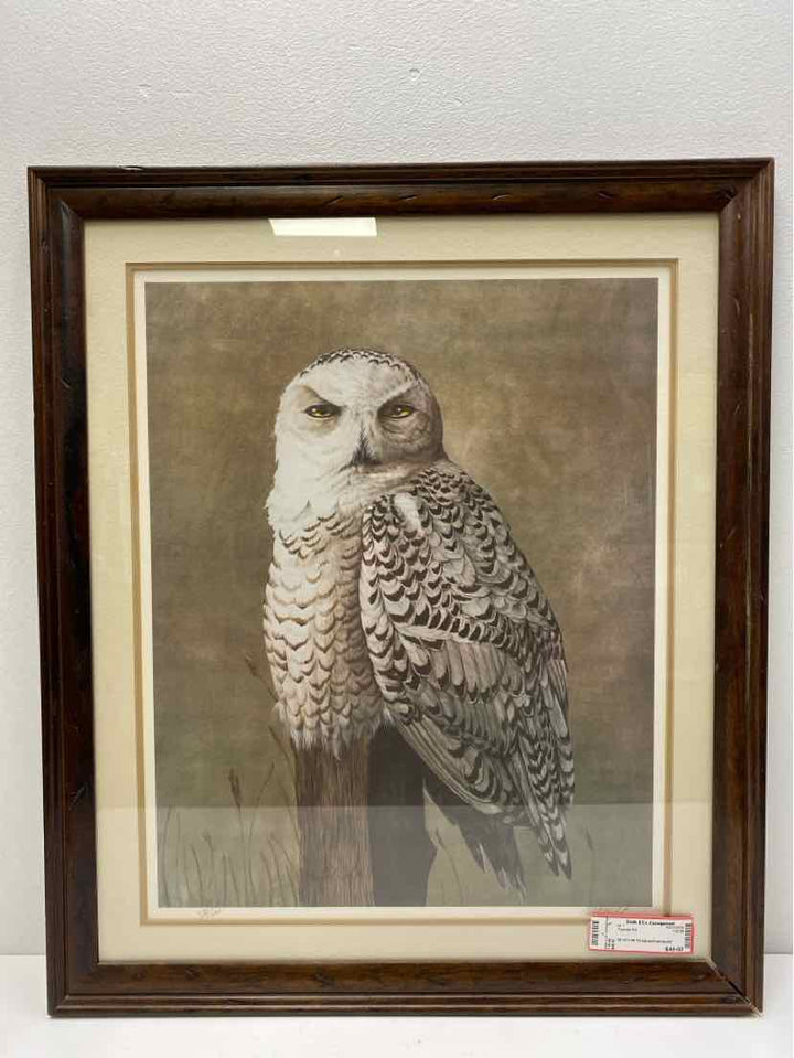 Framed Art
