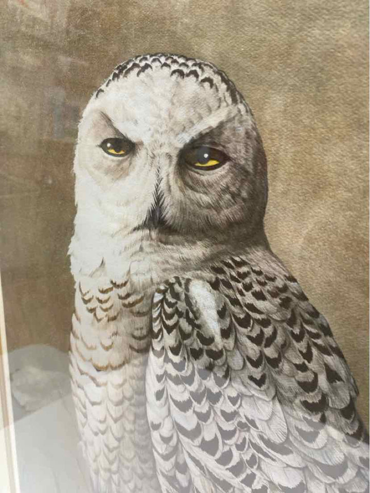 Framed Art