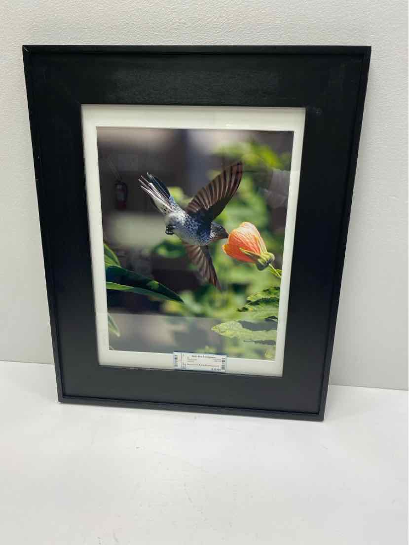 Framed Art