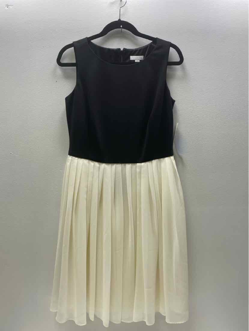 charter club Size 10 Dress