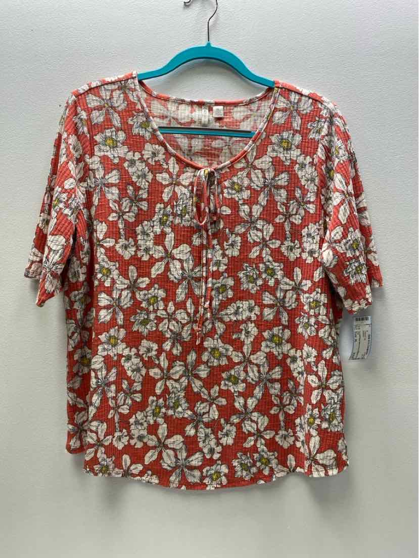 cato Size XL Casual Top