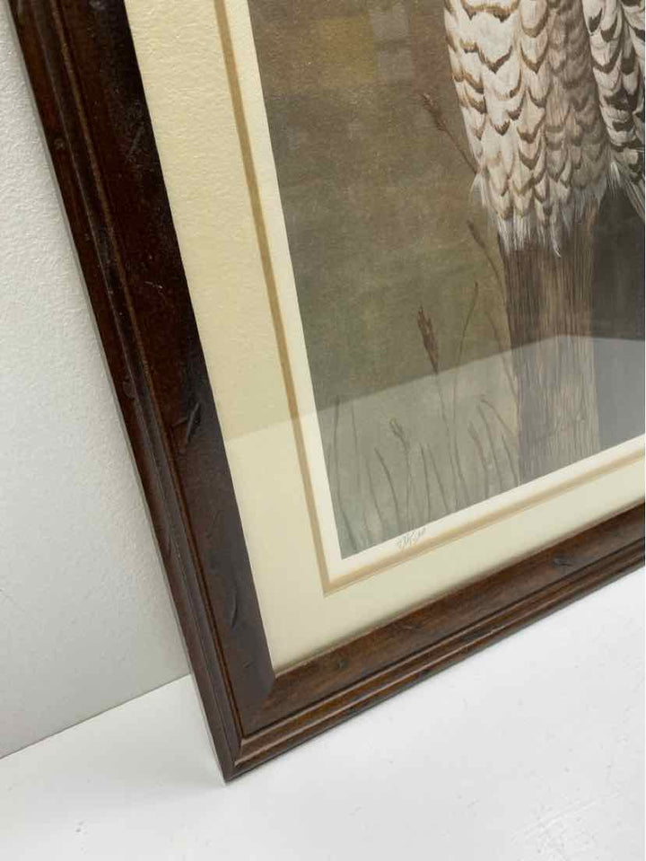 Framed Art