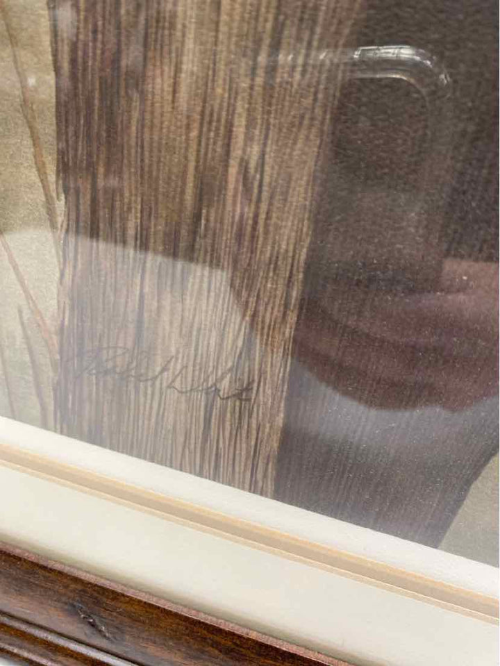 Framed Art
