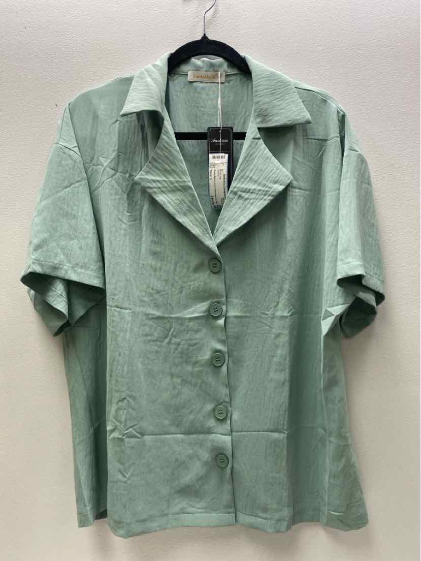 Size L Dress Top