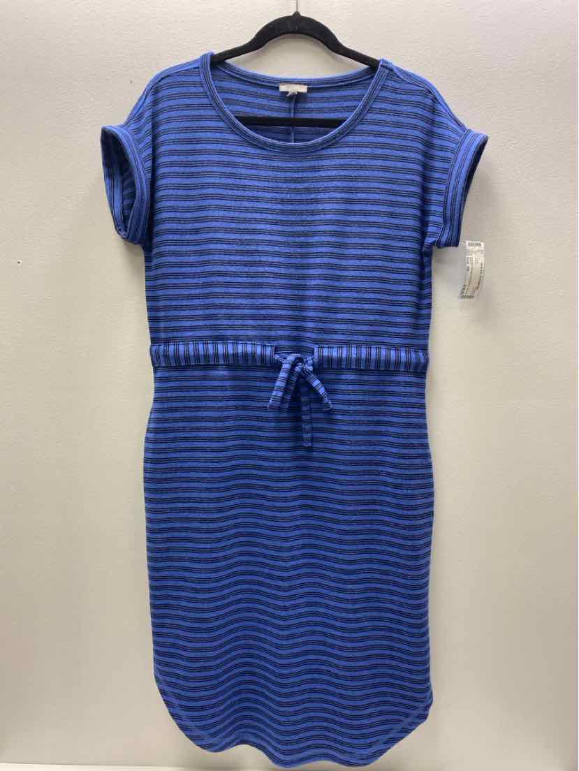 talbots Size MP Dress