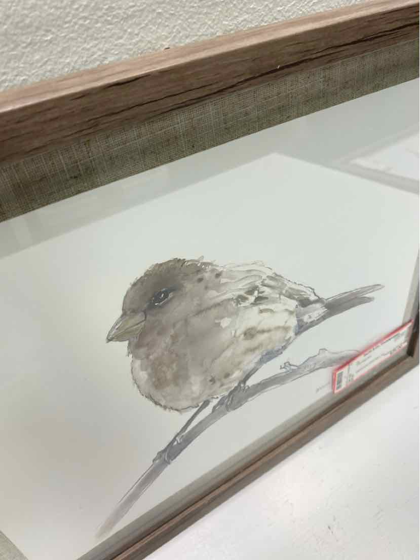 Framed Art