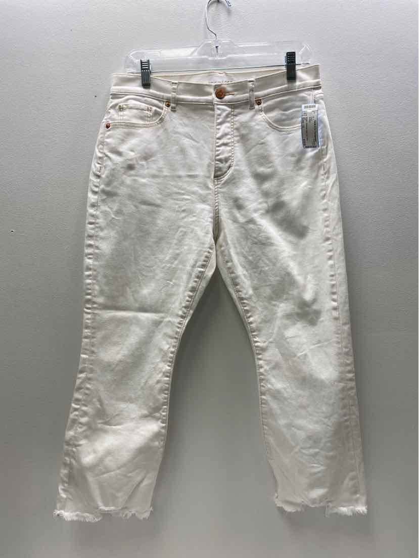 Loft Size 10 Crop