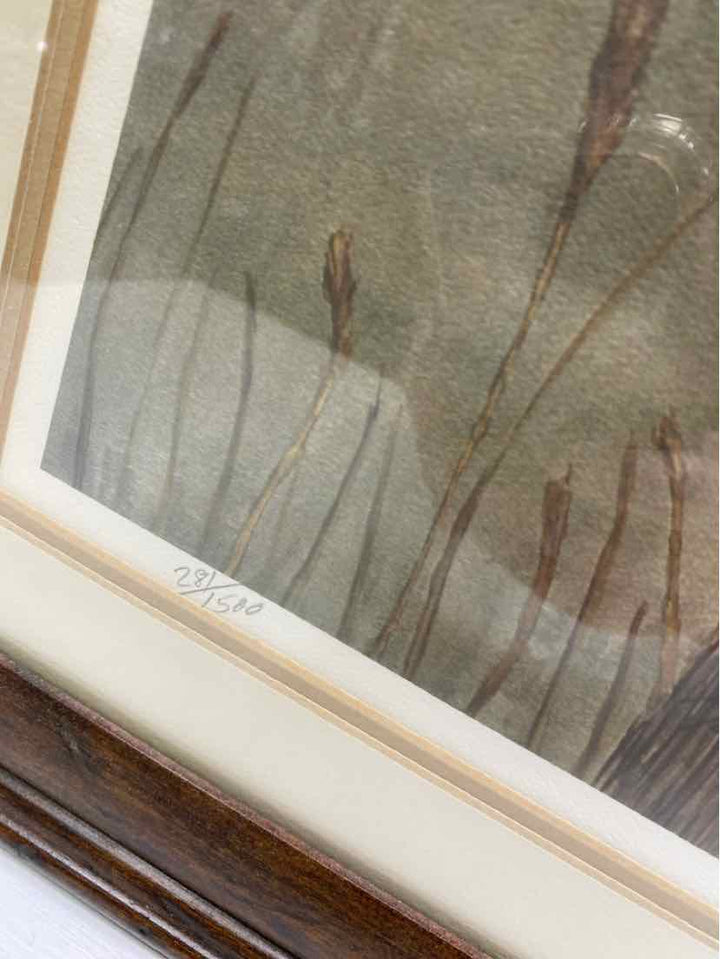 Framed Art