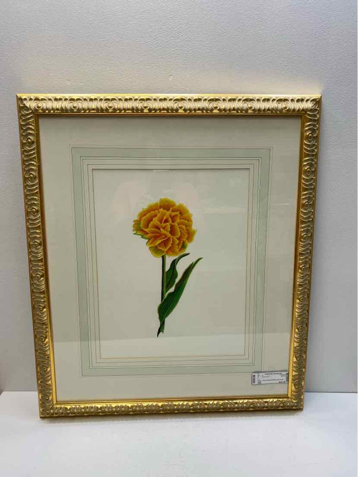 Framed Art