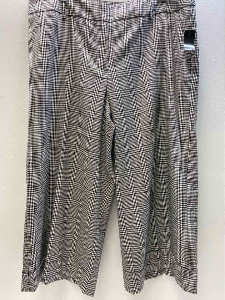 Lane Bryant Size 16 Pants