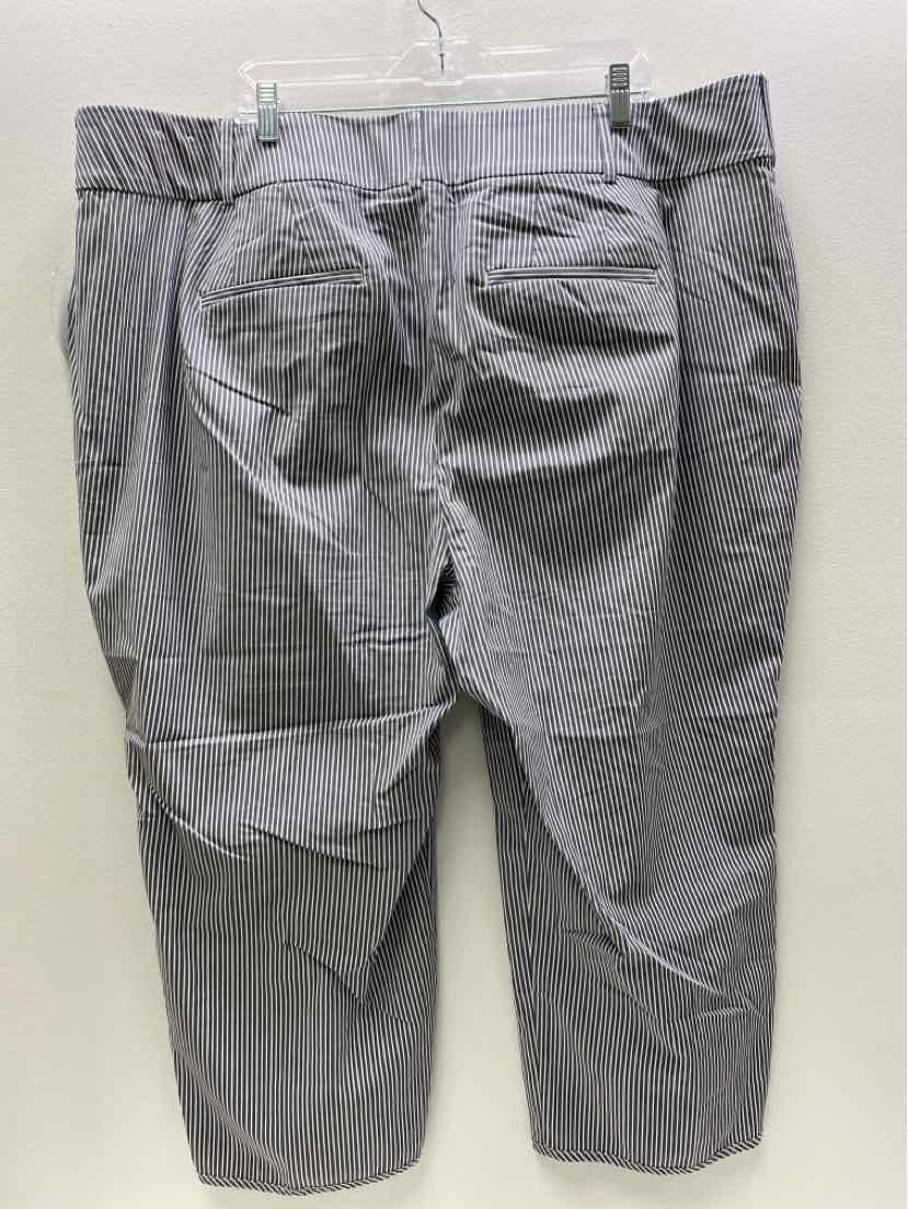 Lane Bryant Size 24 Misc. Pants