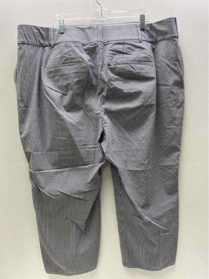Lane Bryant Size 24 Misc. Pants