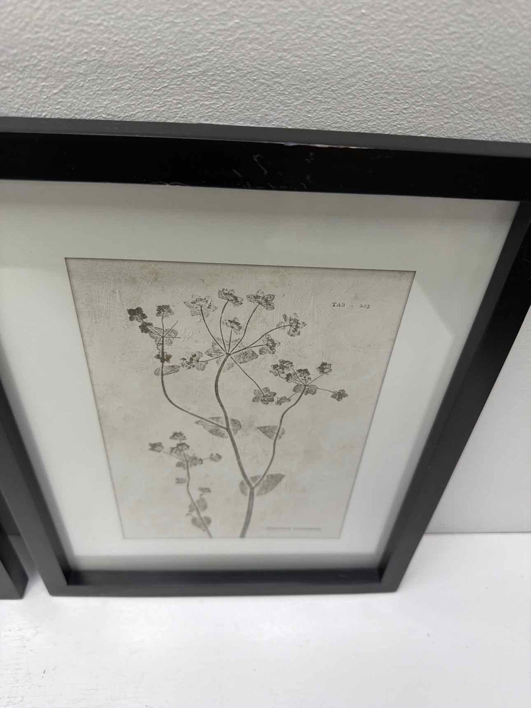 Framed Art