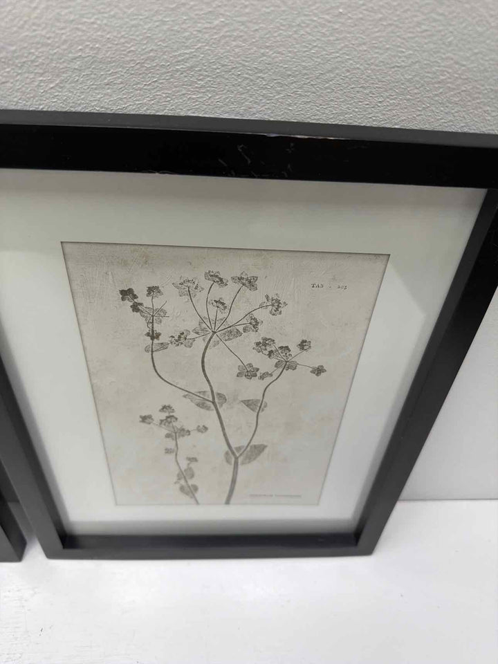 Framed Art