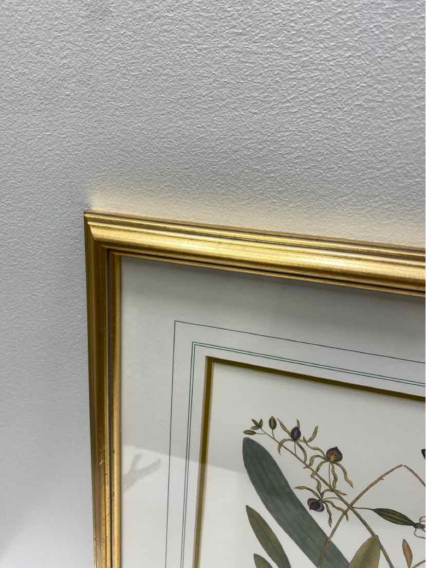 Framed Art