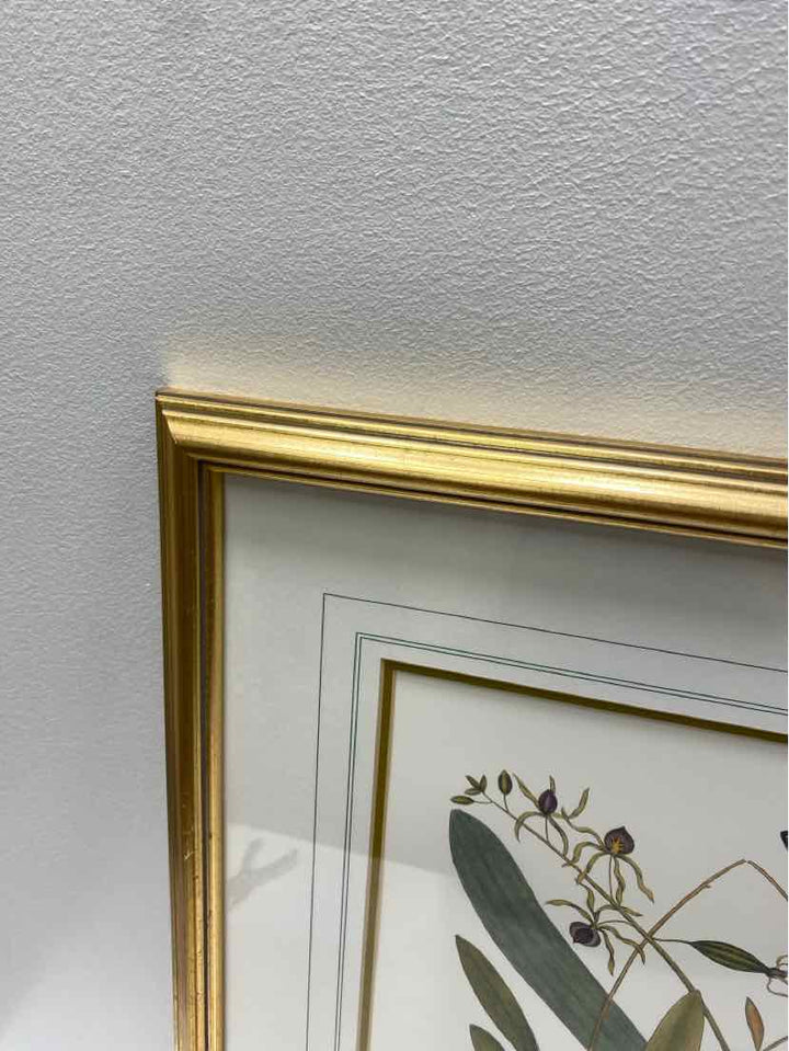 Framed Art