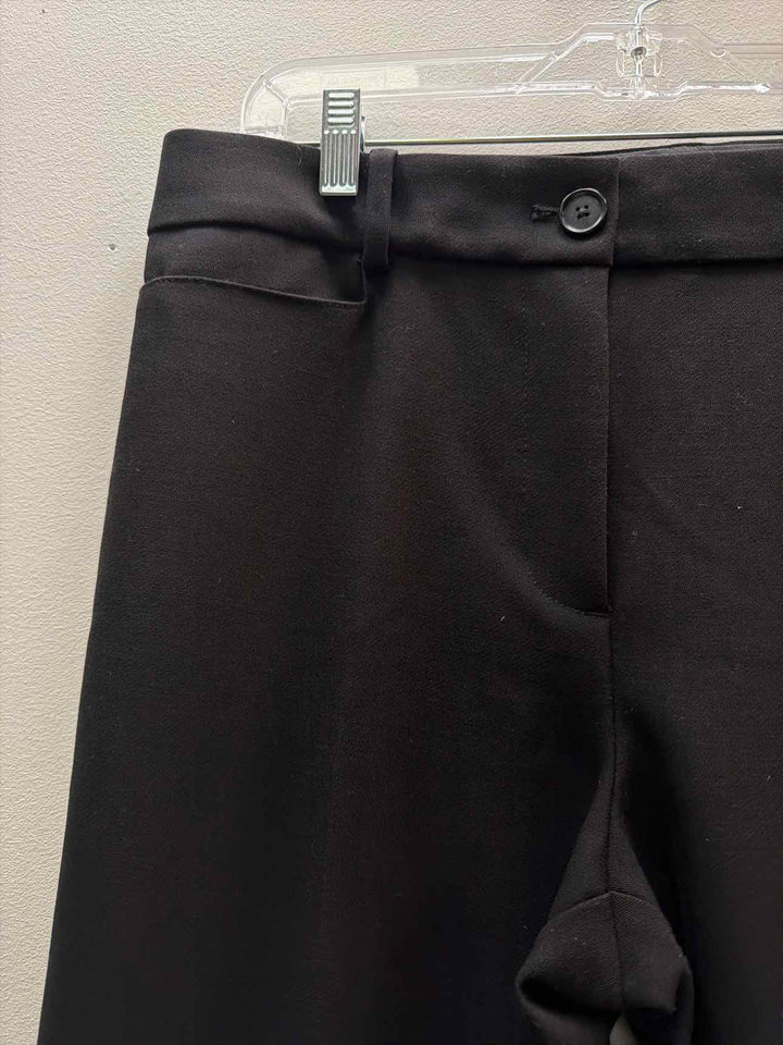Loft Size 12P Pants