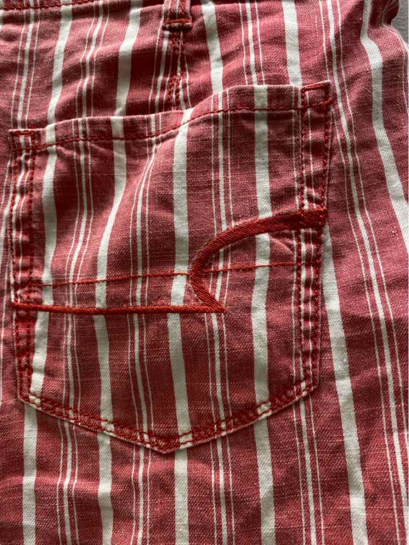 American Eagle Size 10 Shorts