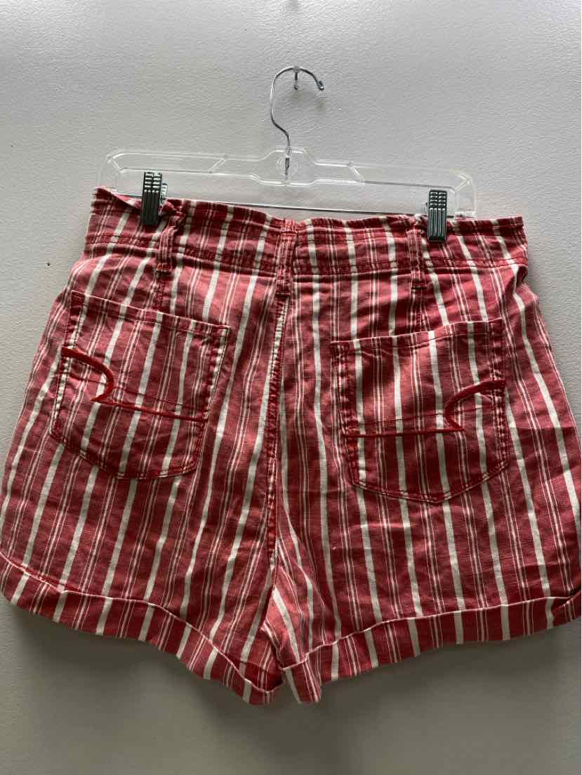 American Eagle Size 10 Shorts