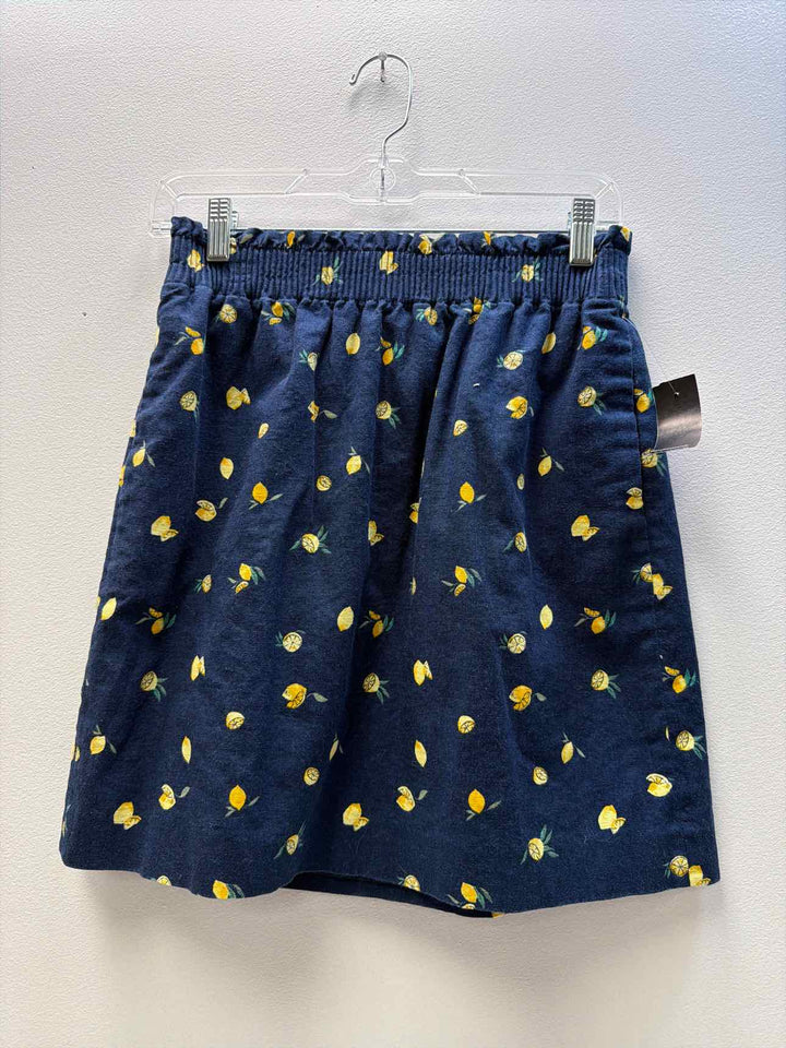 j crew Size 2 Skirt