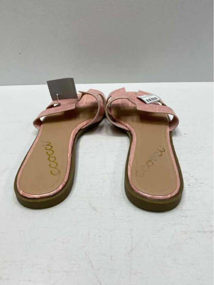 Ccocci 6 Flats