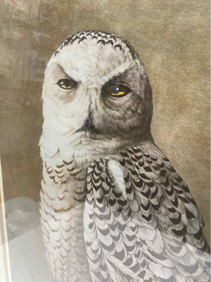Framed Art