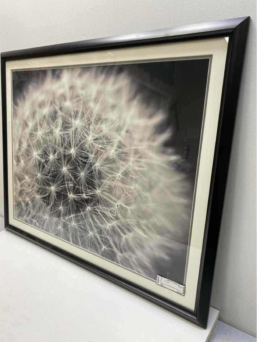 Framed Art