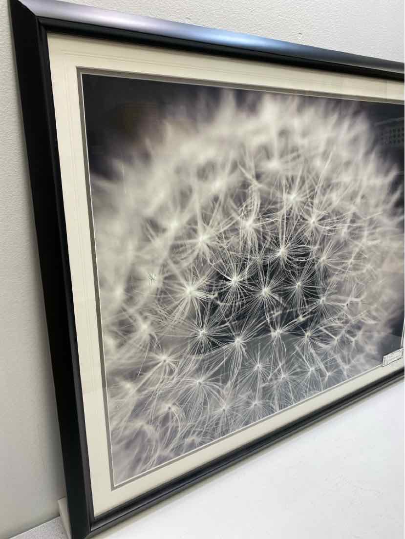 Framed Art