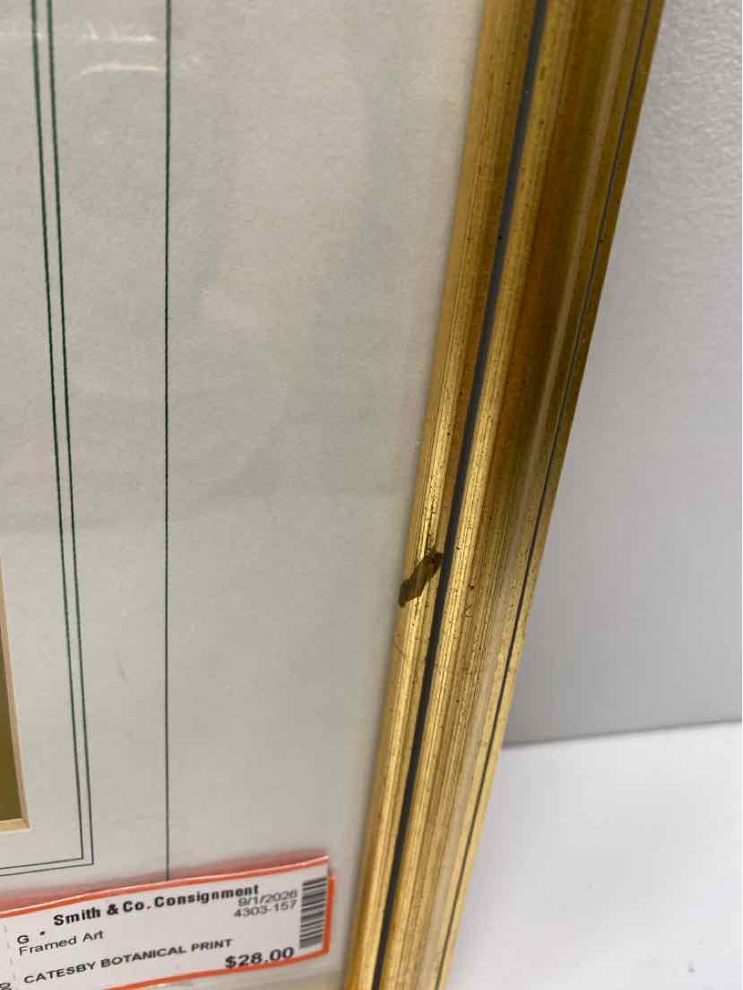 Framed Art