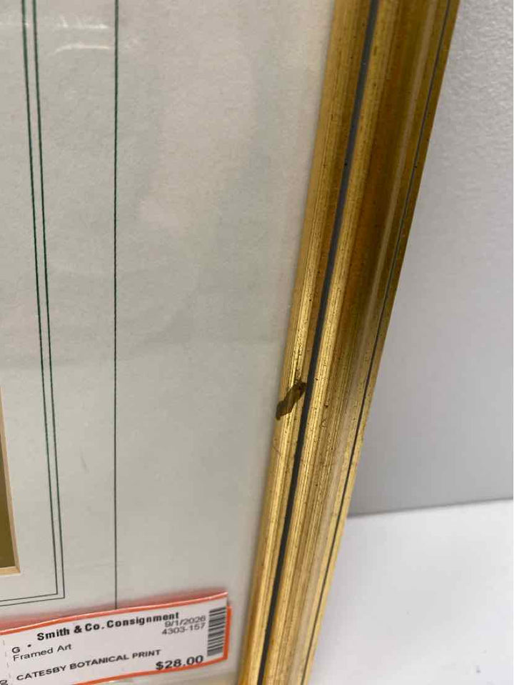 Framed Art