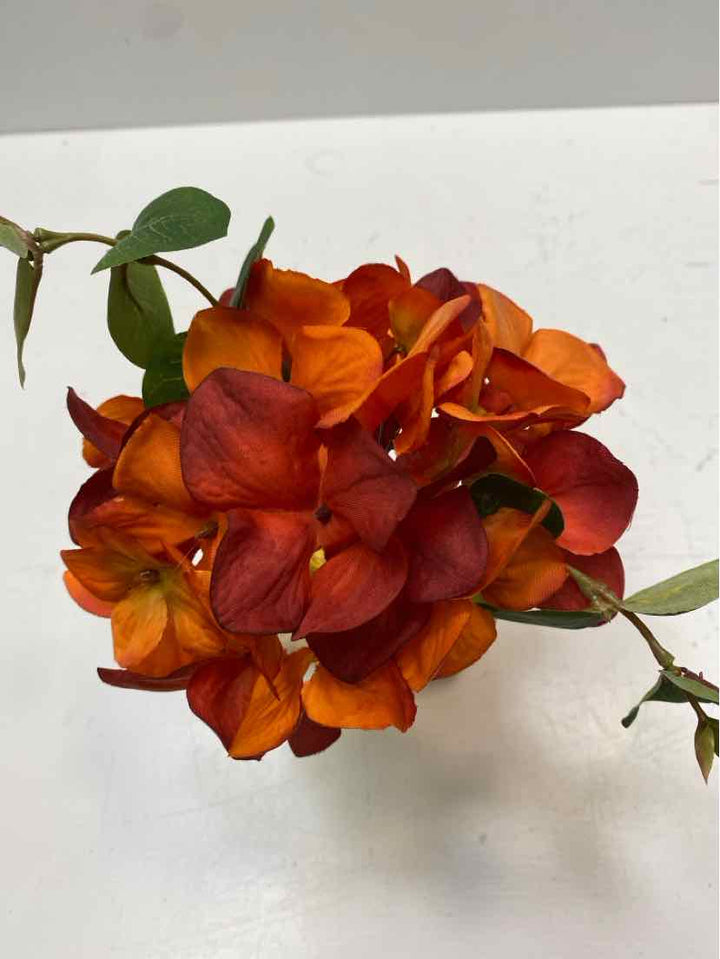 Floral Arrangement
