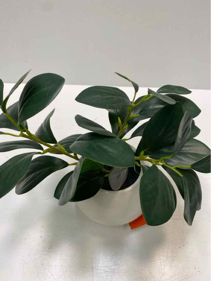 Garland/Greenery