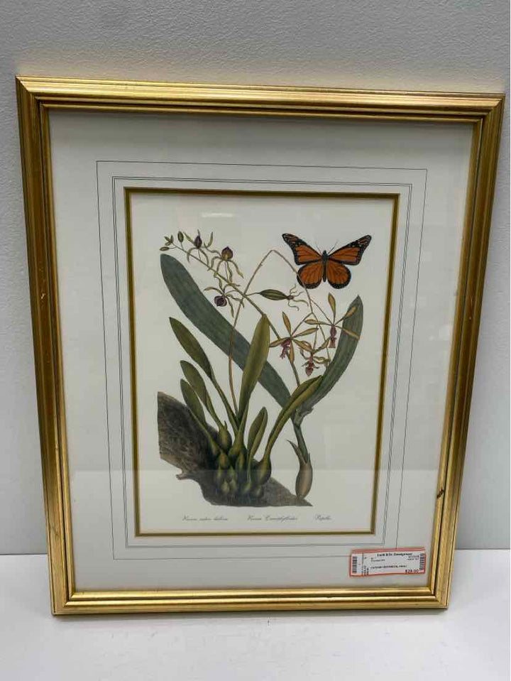 Framed Art