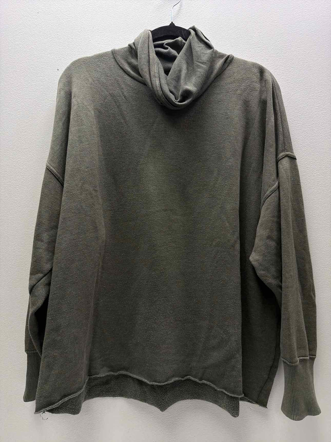 aerie L Sweatshirt