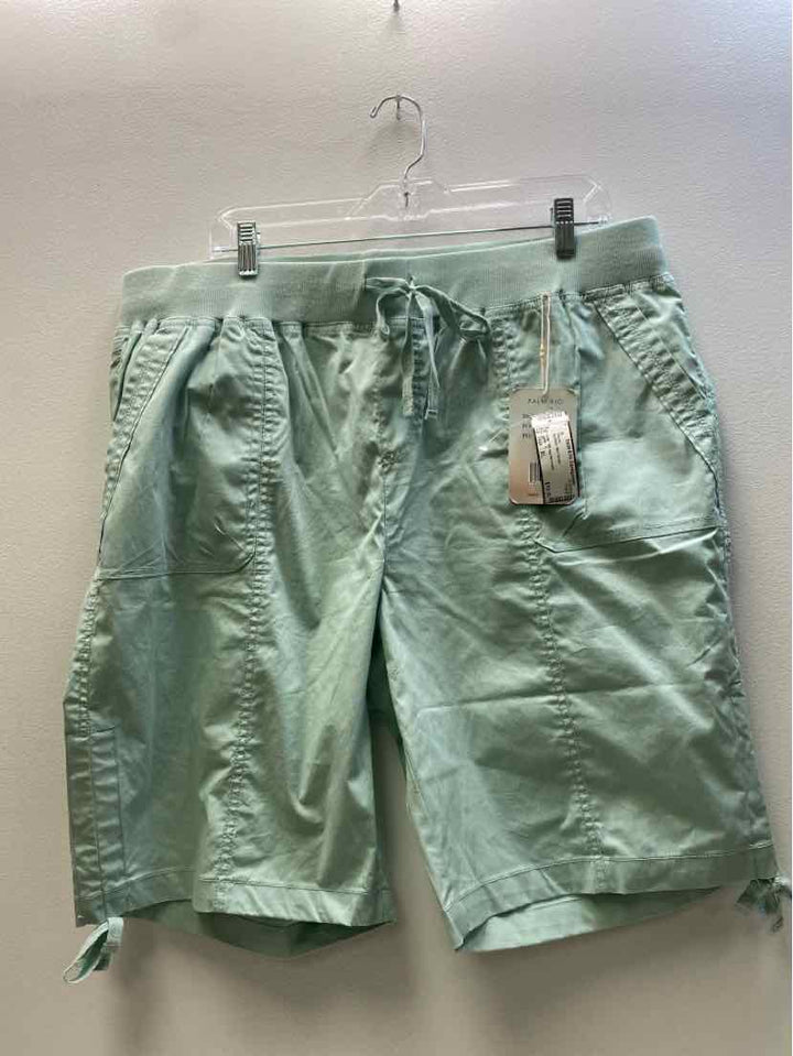 palm rio Size XL Shorts
