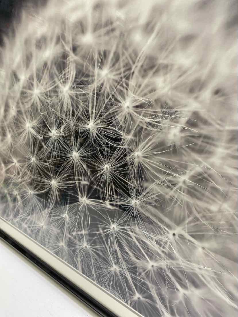 Framed Art