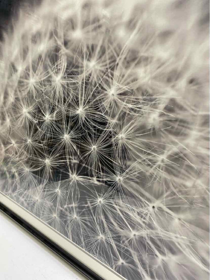Framed Art