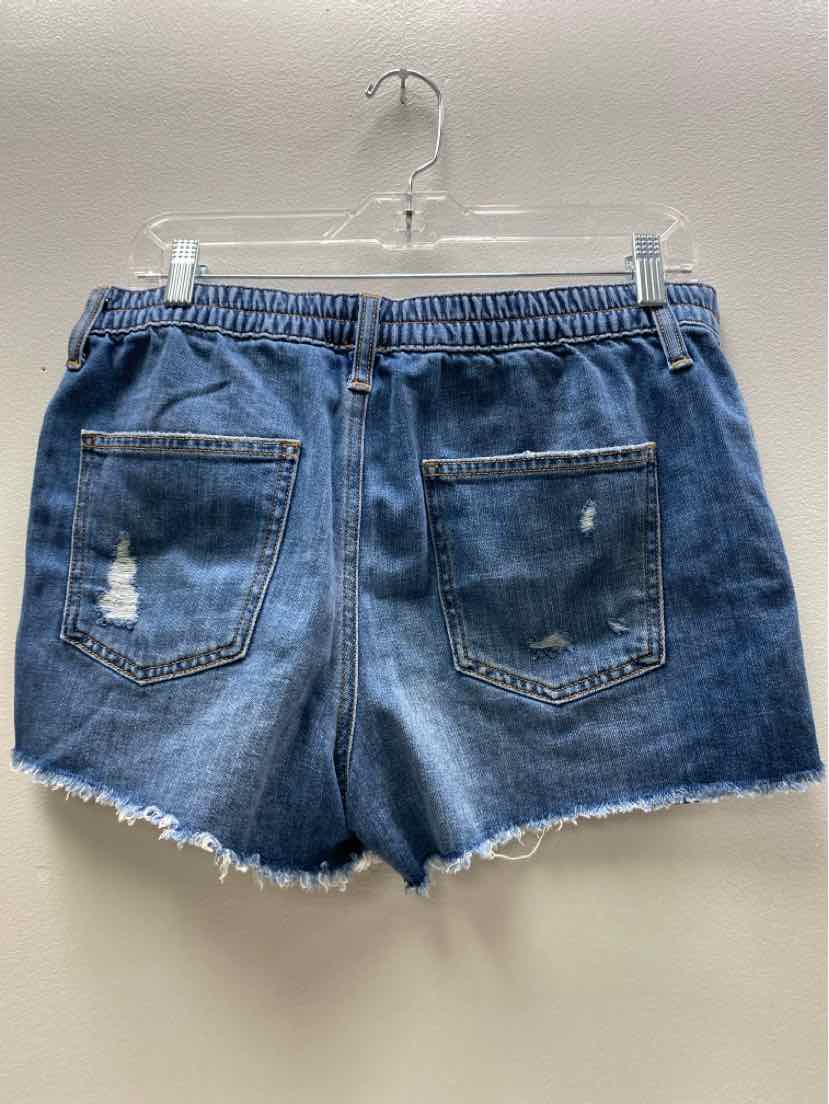 aerie Size M Shorts