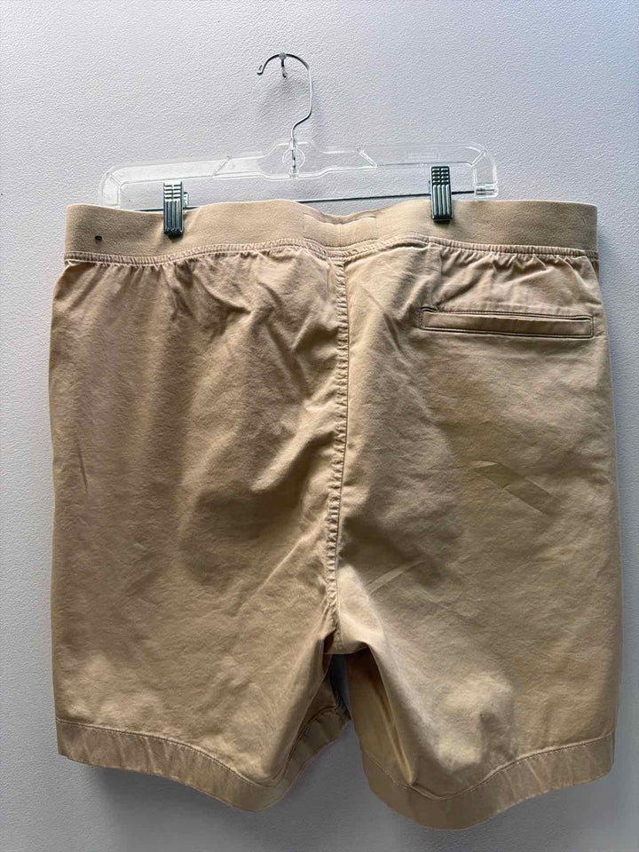 Abercrombie & Fitch Size XL Shorts