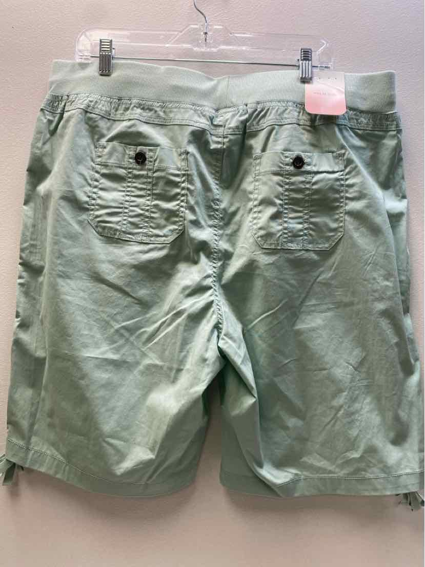 palm rio Size XL Shorts