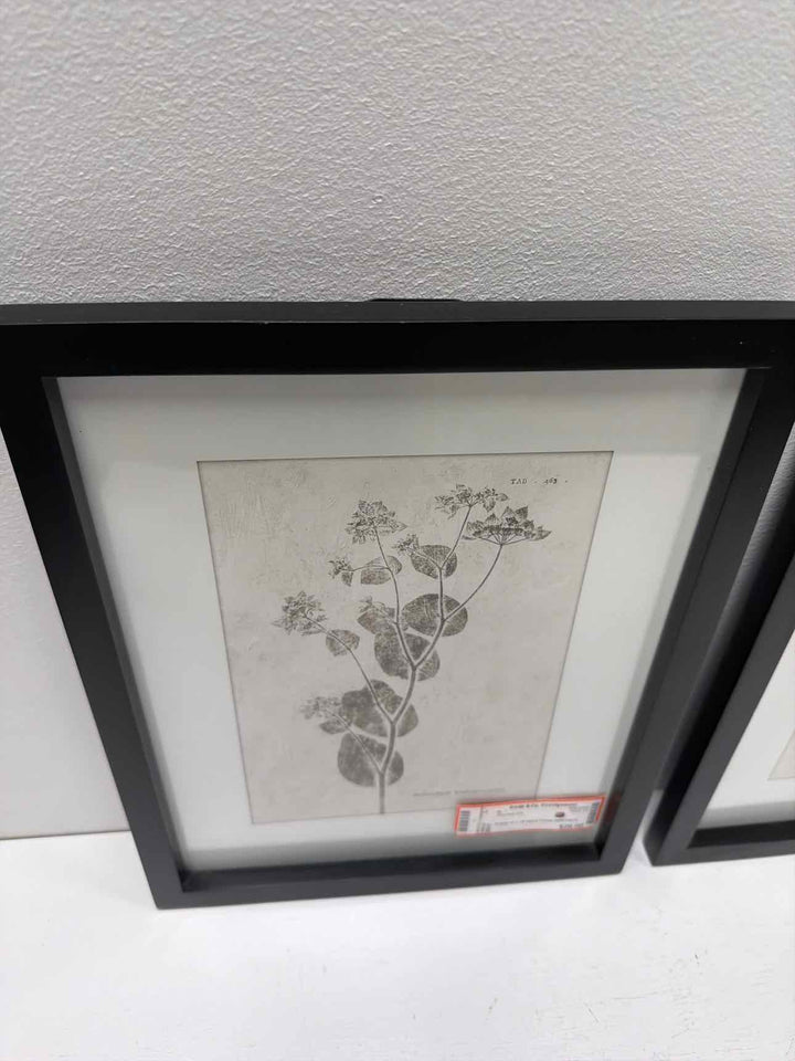 Framed Art
