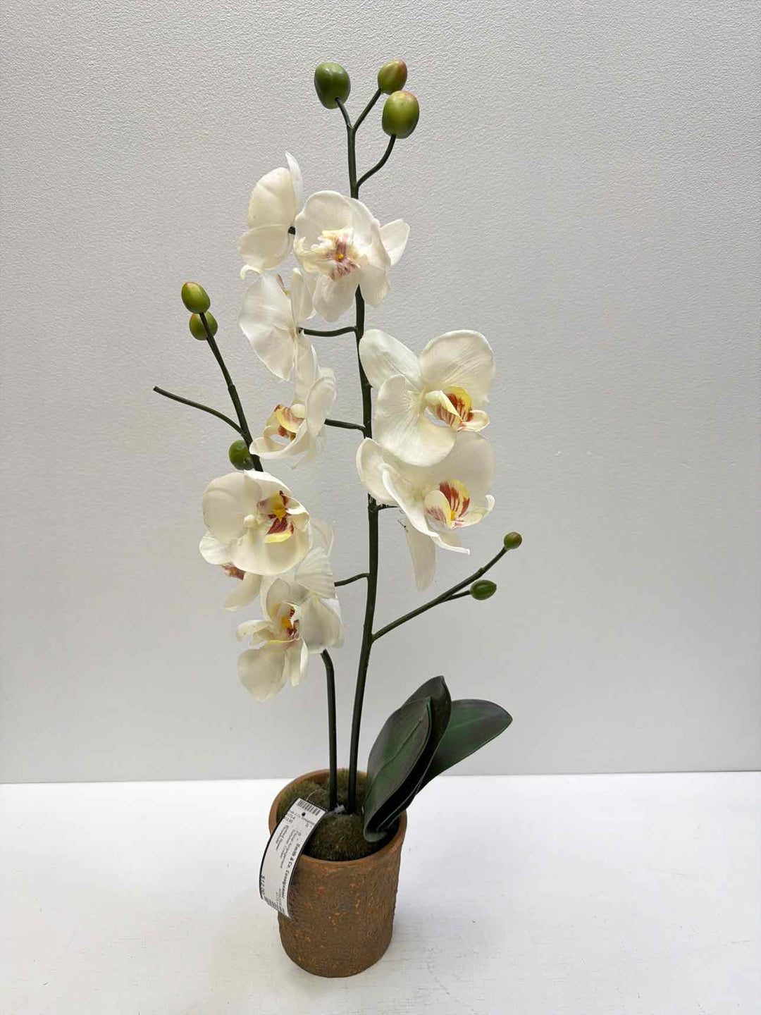 Threshold Floral Arrangement