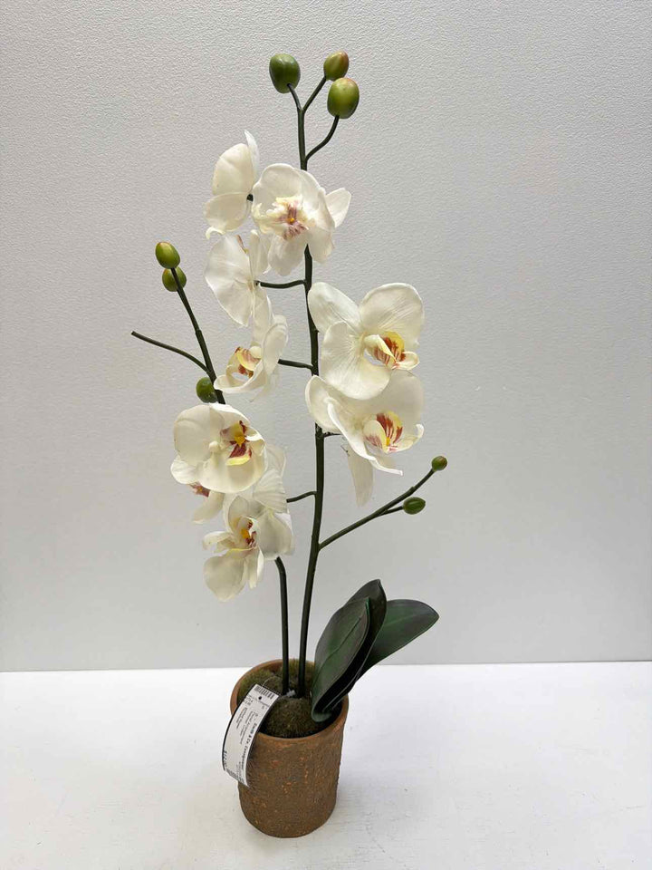 Threshold Floral Arrangement