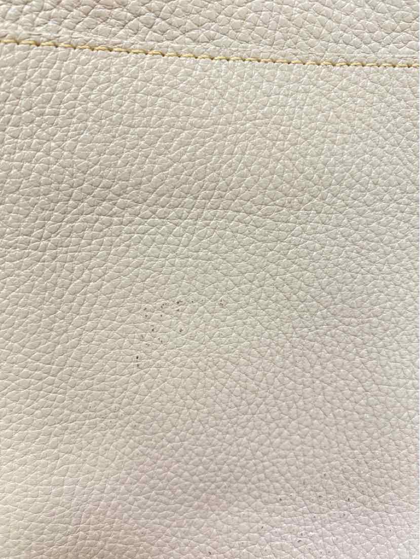 Daniella Ortiz Purse