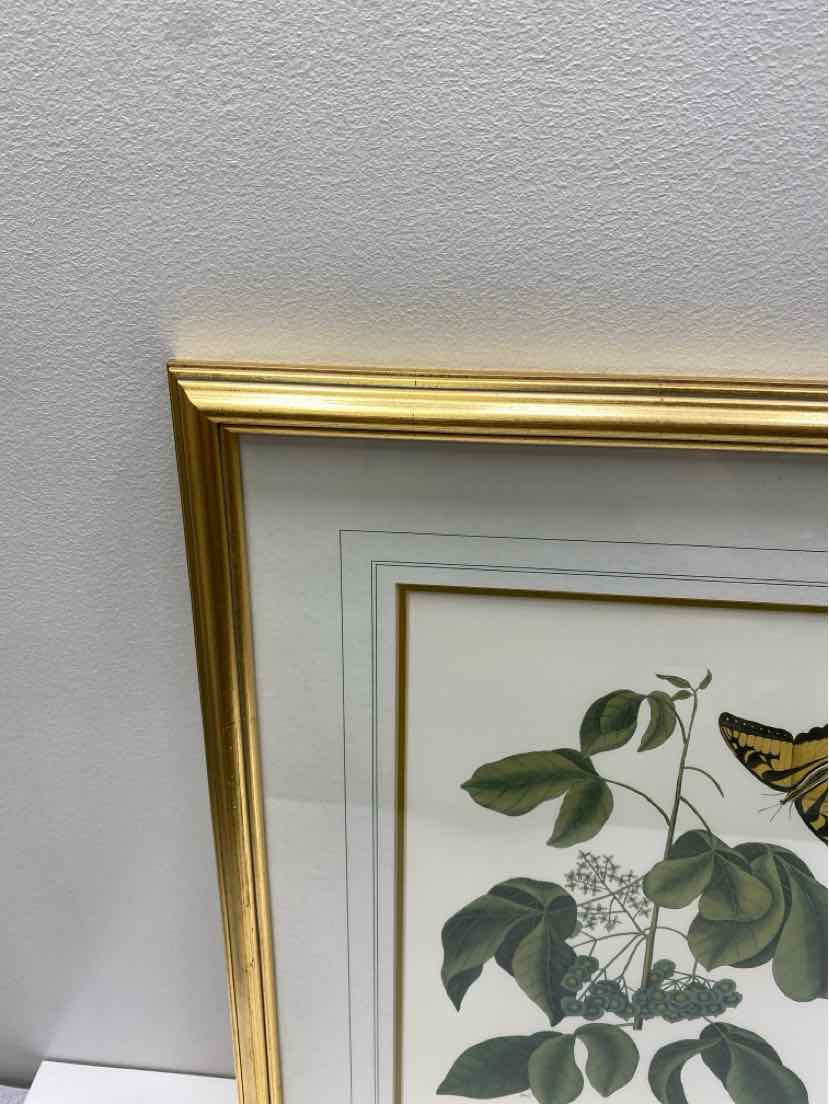 Framed Art