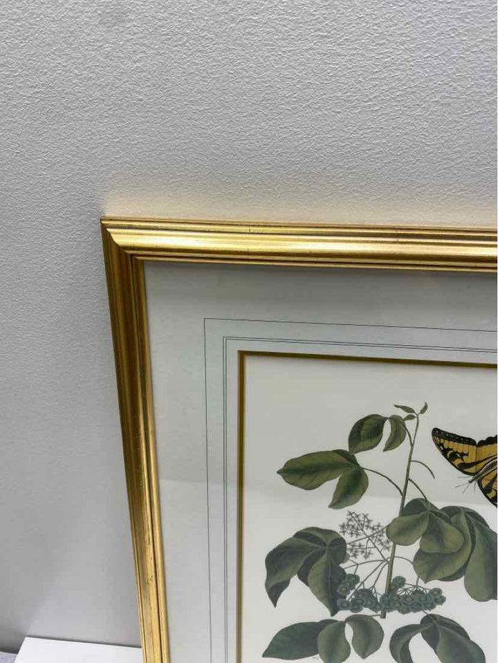 Framed Art