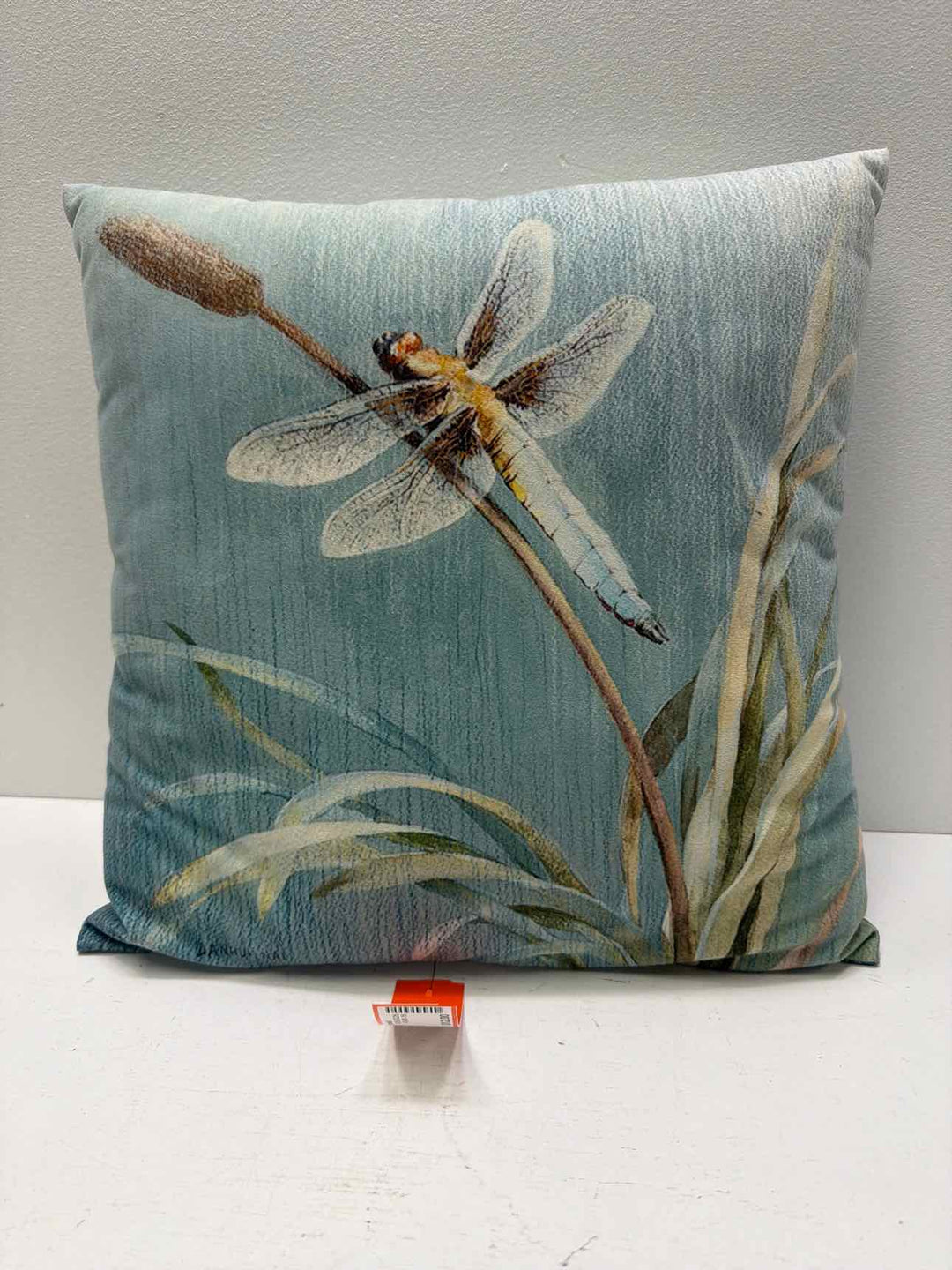 Danhui Nai throw pillow